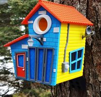 Vogelhaus Farbenhaus  farbenfrohes Vogelhäuschen