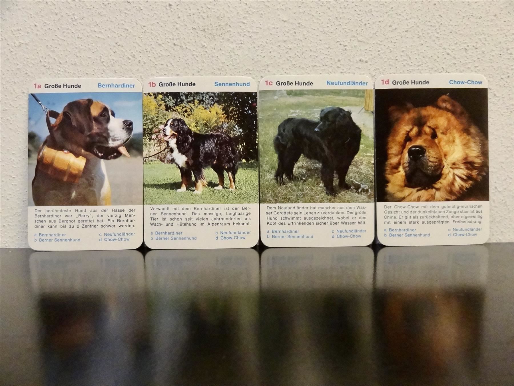 Spiele: altes Quartett TIER-QUARTETT HUNDE HUND – Gebraucht aus Kerzers von wisaundso 3