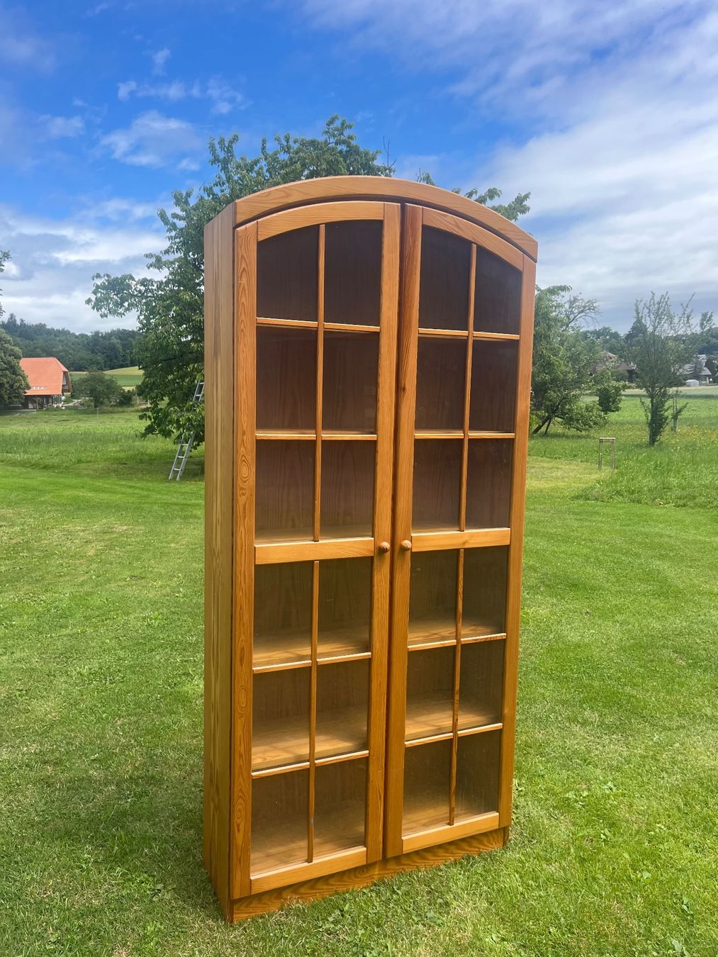 Vetrine: Vitrine mit 2 Türen – Usato da Allmendingen b. BE venduto da juair 3