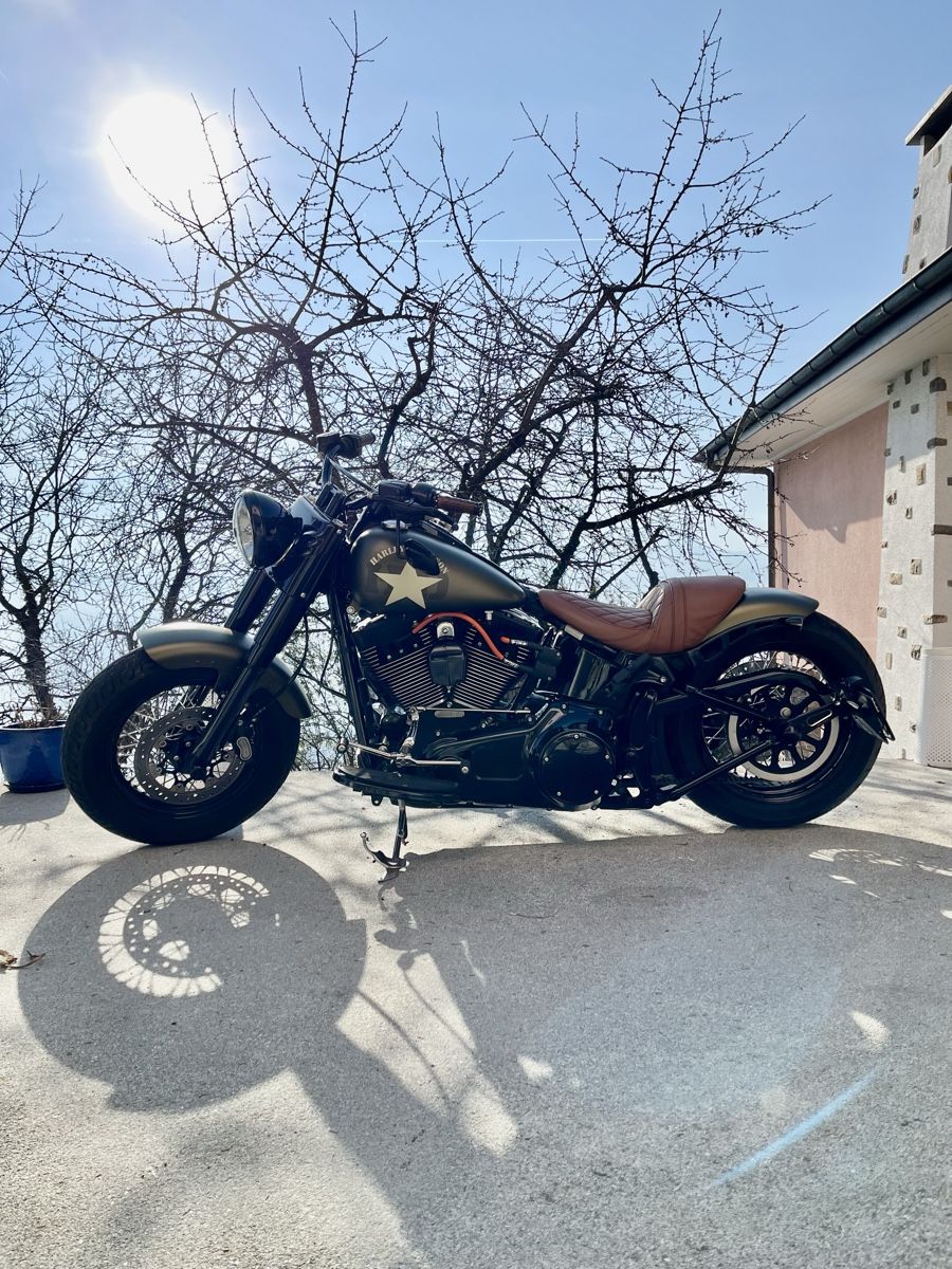 Harley-Davidson Chopper: Harley Davidson FLSS Softail custom – Usato da Rolle venduto da misterarti 2