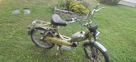 Sachs 503 Mofa Töffli