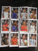 Panini 2026 Cola Sticker