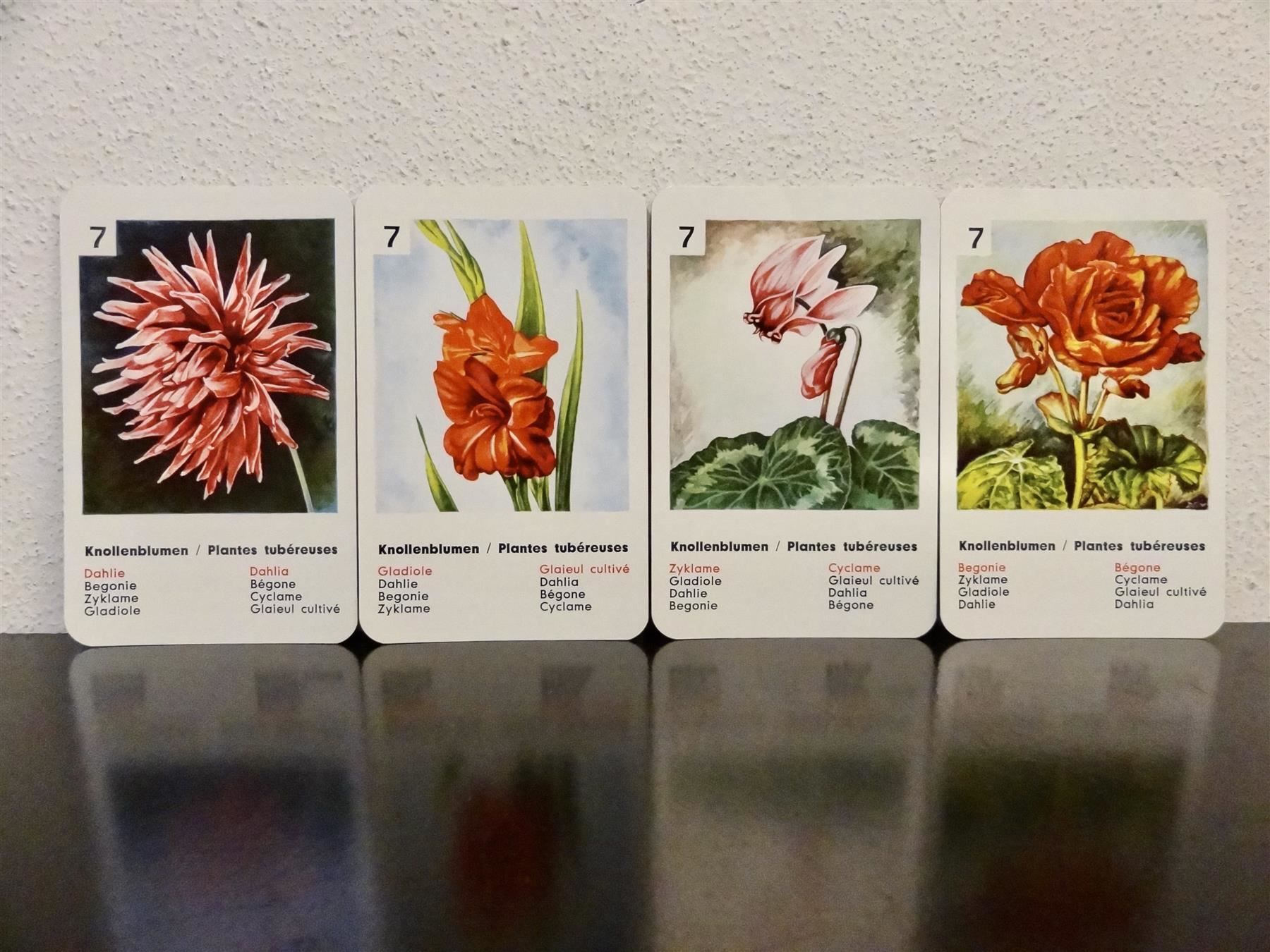 Giochi: altes Quartett BLUMEN-QUARTETT BLUMEN – Usato da Kerzers venduto da wisaundso 7