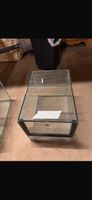 Terrarium Glas Terrarium Glasbox 30x20x20 cm ä