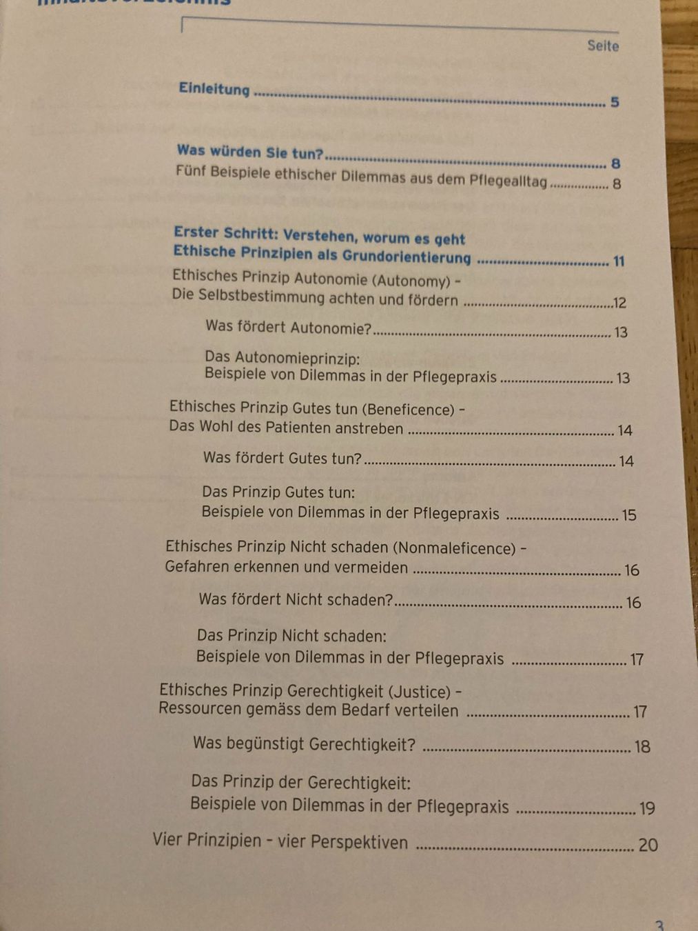 Libri: Ethik und Pflegepraxis – Usato da Niederscherli venduto da ypsilon315 1