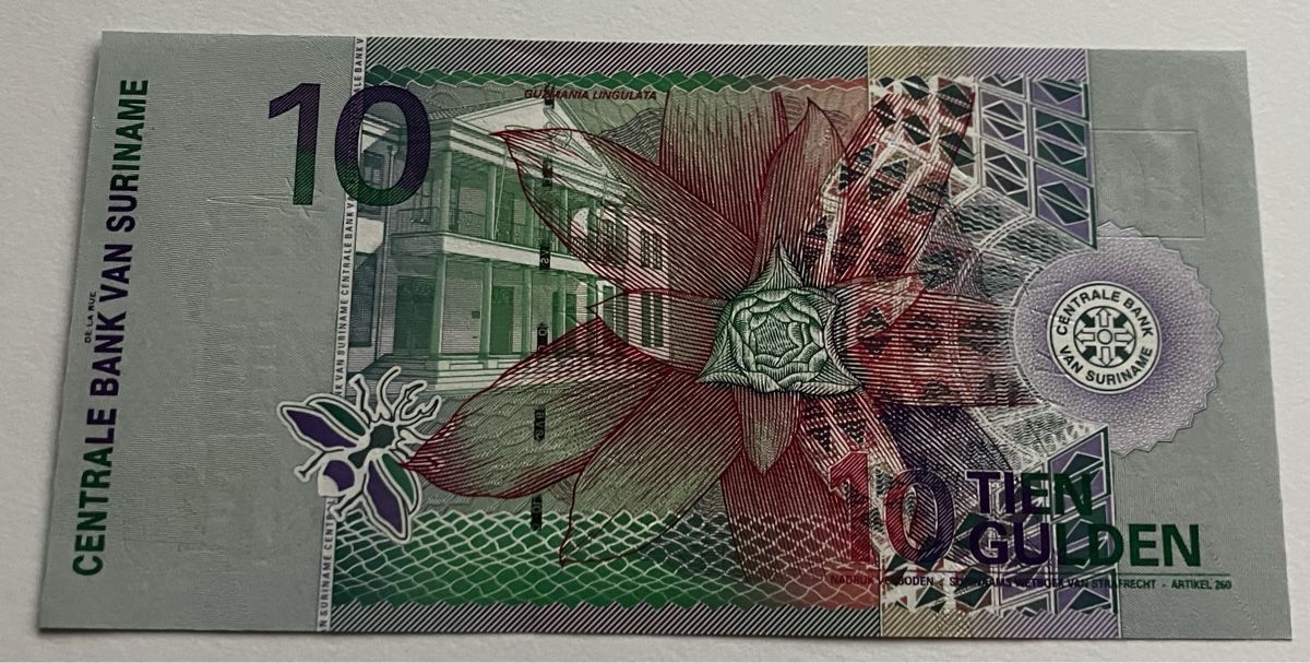 Banknoten: Suriname 10 Gulden 2000 Neuwertig – Neu (gemäss Beschreibung) aus Algetshausen von Carrhard 1