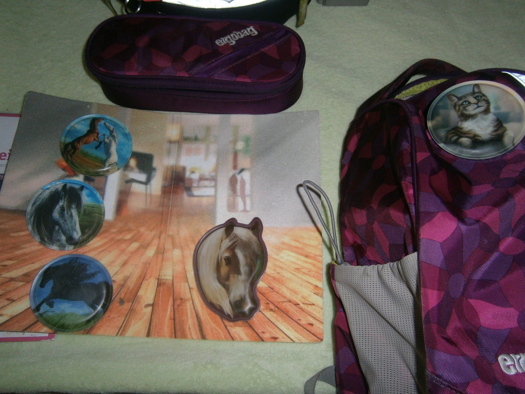 Ergobag Borse & Zaini: Schule Komplet Set, Turn Sack, Regenschutz, etc. – Usato da Schönenbuch venduto da Mobbi72 2