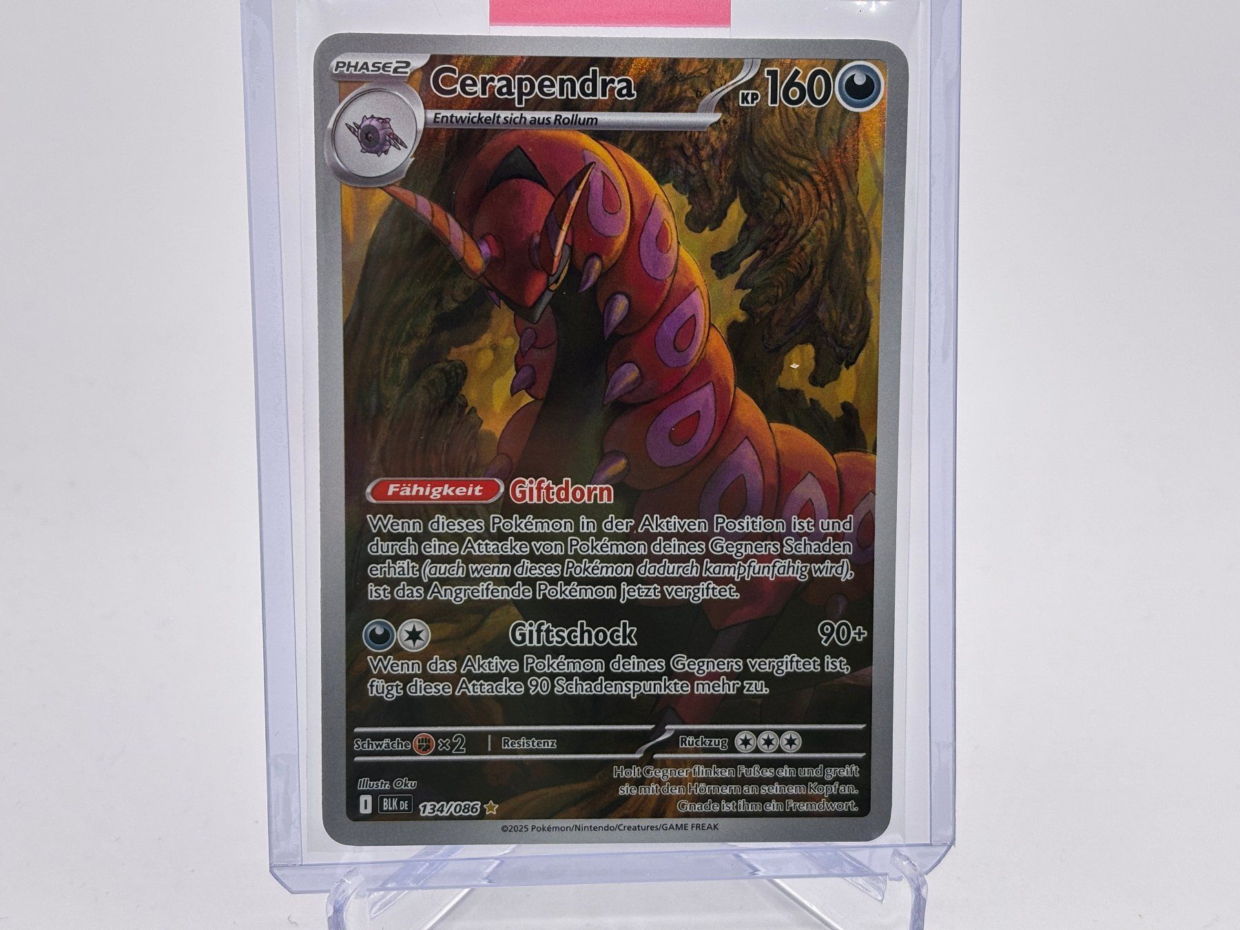 Pokémon Carte collezionabili: Schwarze Blitze - Cerapendra  (BLK 134) - DE – Nuovo (secondo la descrizione) da Allschwil venduto da Bullach