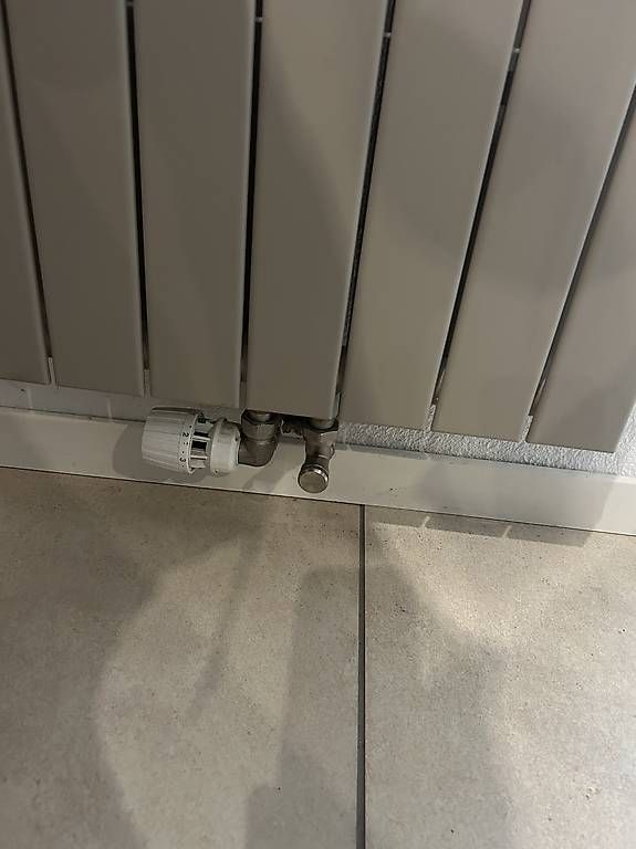 Radiatori: Radiator in Farbe taupe – Usato da Wegenstetten venduto da M.L02 2