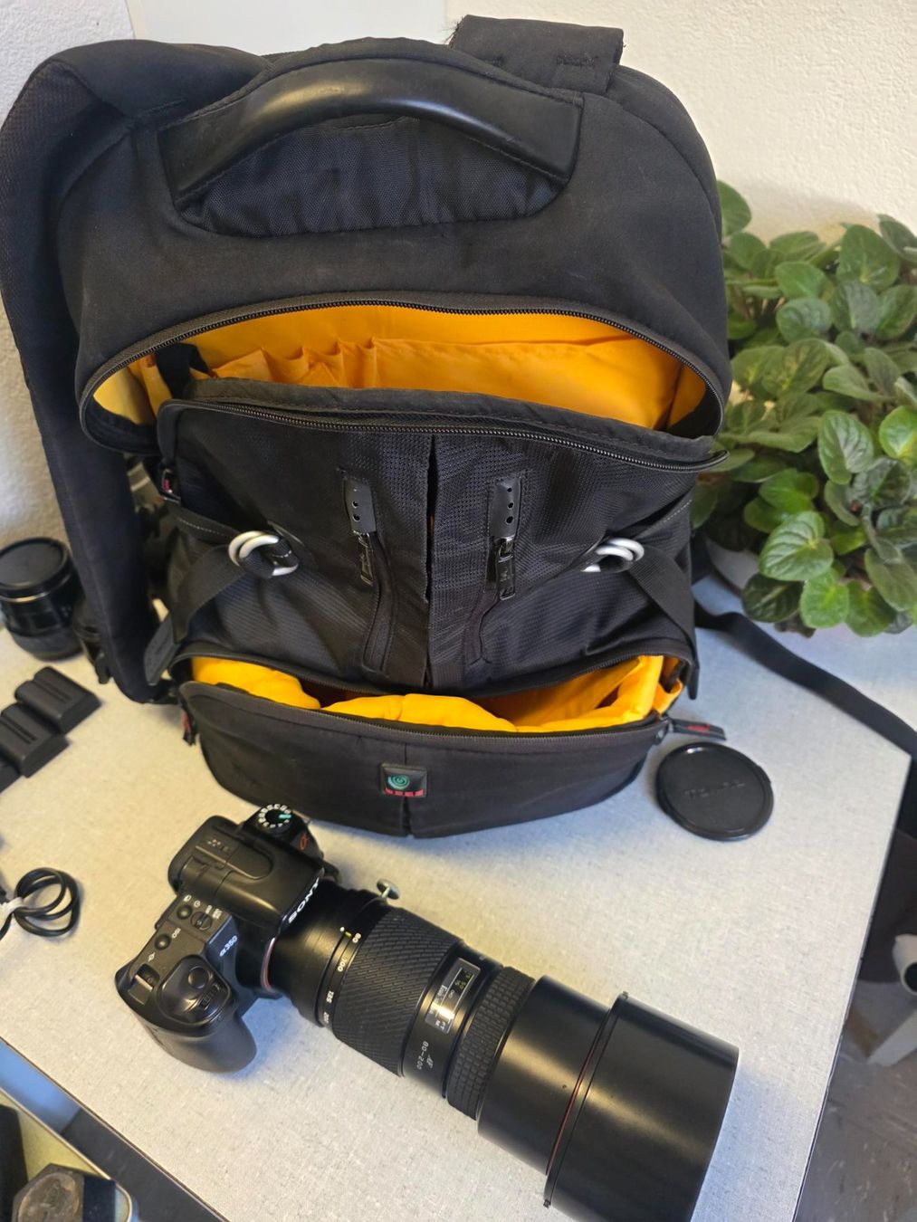 Sony Fotocamera: Kameraausrüstung Sony A350 – Usato da St. Gallen venduto da Thomstar 8