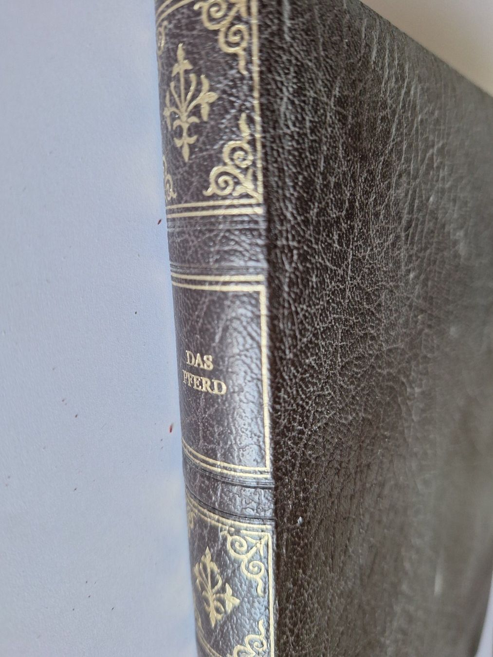 Livres: DAS PFERD Gérad Bernier AvantiVerlag – D'occasion à Zürich par t24_de