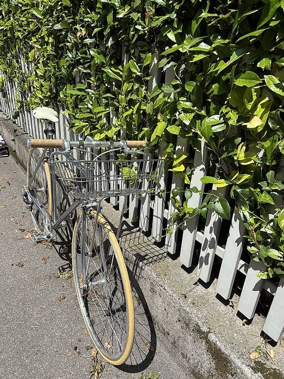 Biciclette: Schicker silberner City-Flitzer – Nuovo (secondo la descrizione) da Zürich venduto da fra_cs9p 1