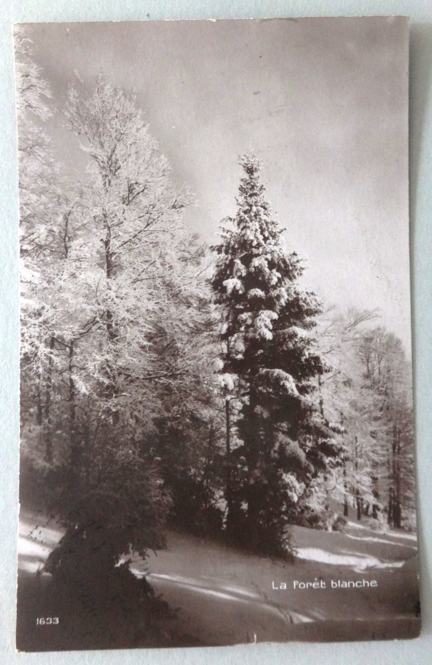 Cartoline postali: La Forêt blanche – Usato da Fétigny venduto da Billy2miny