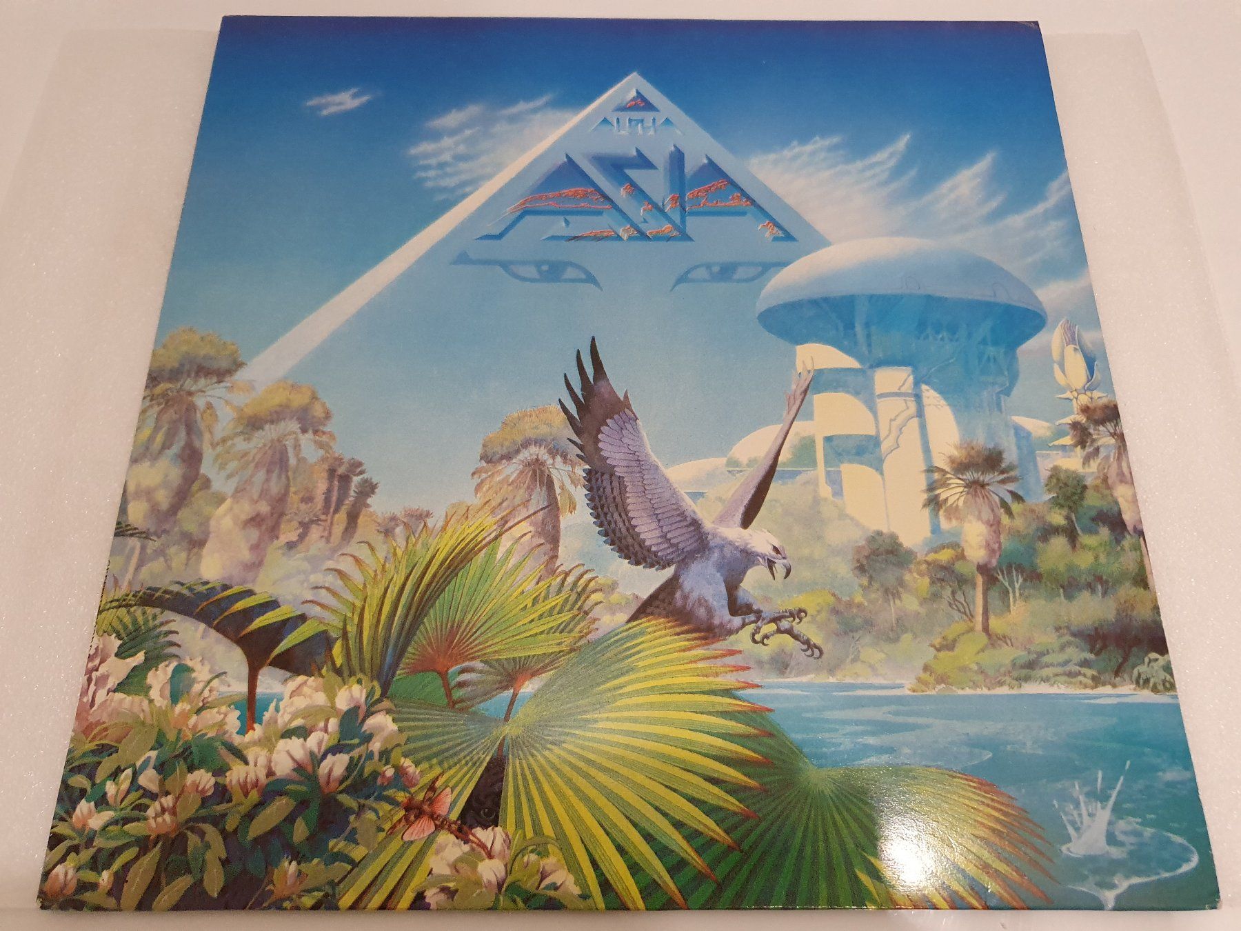 Dischi in vinile: Asia – Alpha – Usato da Uster venduto da Vinyl-Leidenschaft