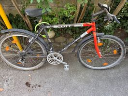 Velo