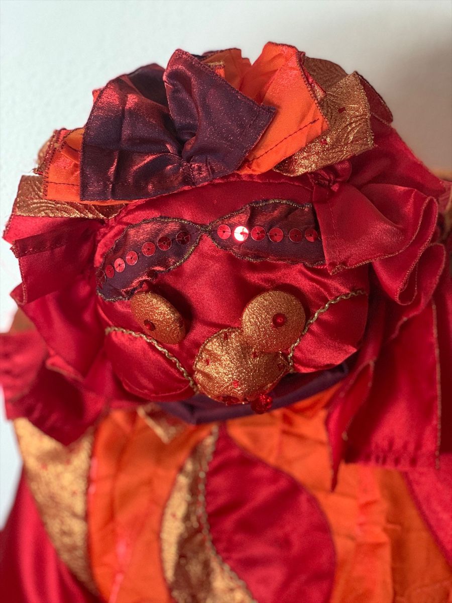 Costumi: Fasnachtskleid (Damen) – Usato da Büron venduto da B1893 5