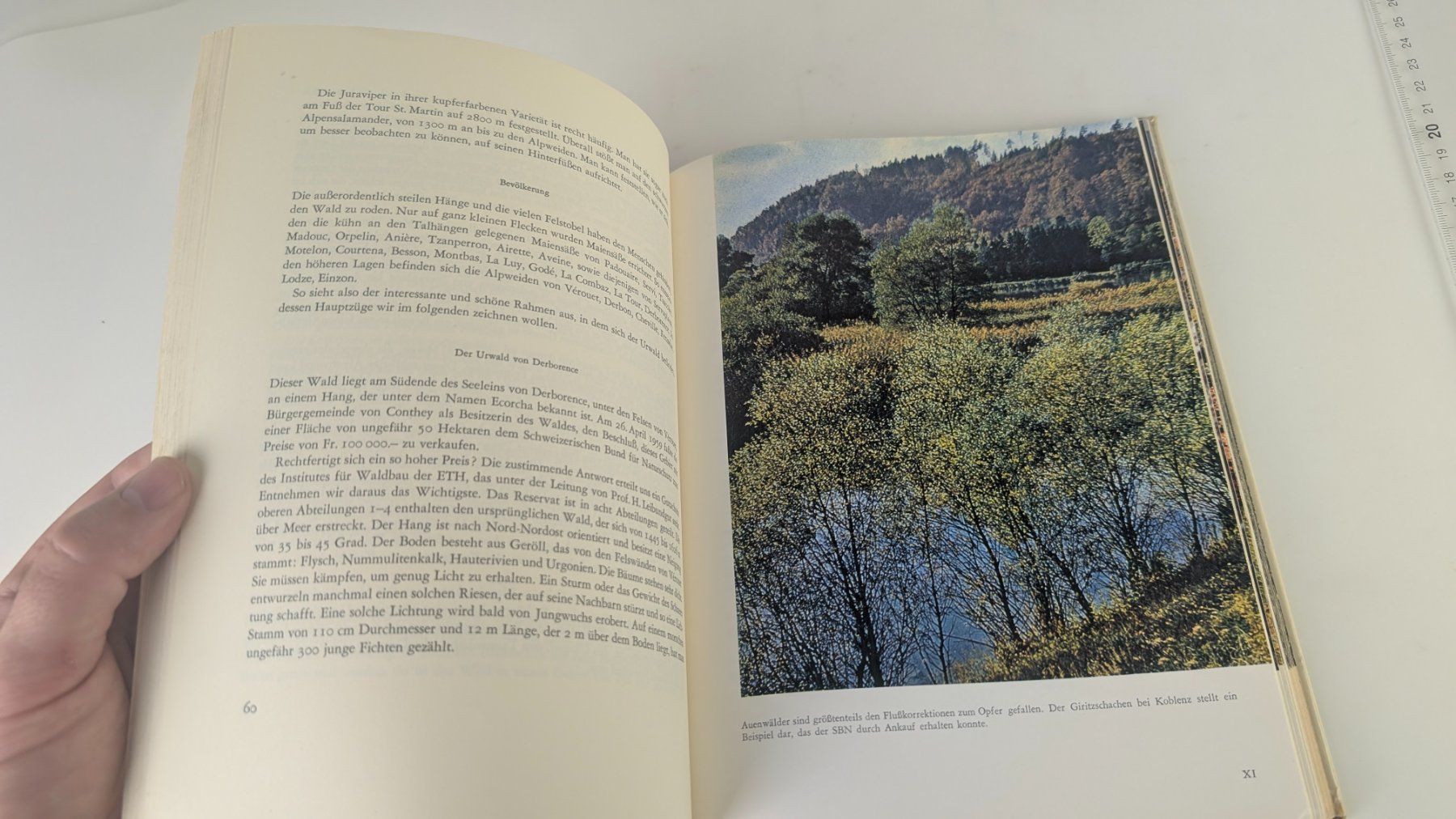 Libri: Schweizer Heimatbücher: Schweizer Naturschutz 1960 – Usato da Zürich venduto da axolottchen 7
