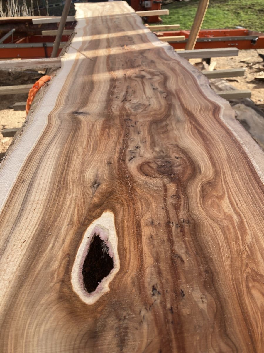 Articles en bois: Eibe klotzbretter – Neuf avec emballage d'origine à Wald AR par Mark92 3