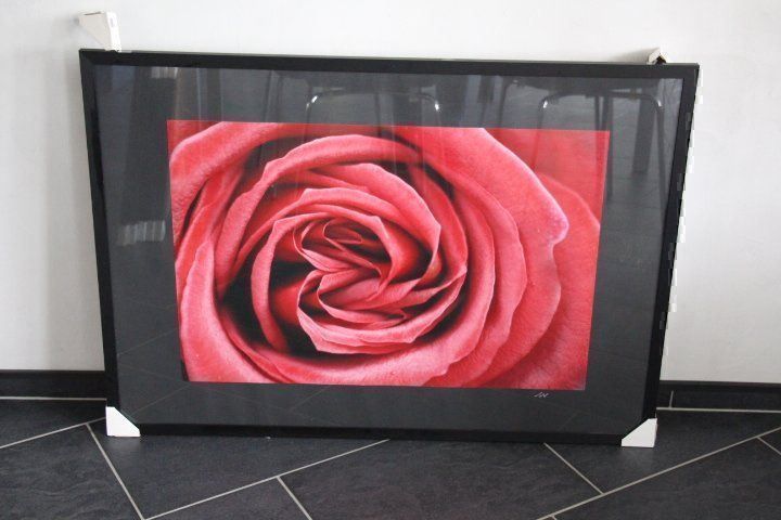 Foto & Immagini: Foto mit Wechselrahmen 70 x 100 cm – Usato da Eschenbach SG venduto da Anisti13