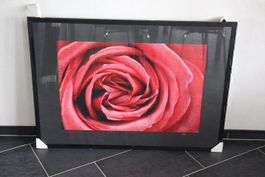 Foto mit Wechselrahmen 70 x 100 cm