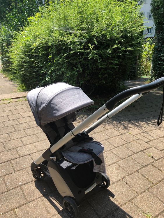 Bugaboo ant Kaufen auf Ricardo