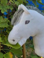 Hobby Horse