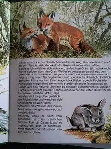 Libri: Antikes Kinderbuch "Cäsar, das furchtlose Kaninchen" – Usato da Schöfflisdorf venduto da KKB-Team1 2