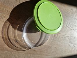 Tupperware Tafelperle flach grün, 1300 ml *NEU