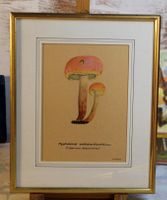 Pilzaquarell – Hypholoma sublateritium Ziegelroter Schwefel