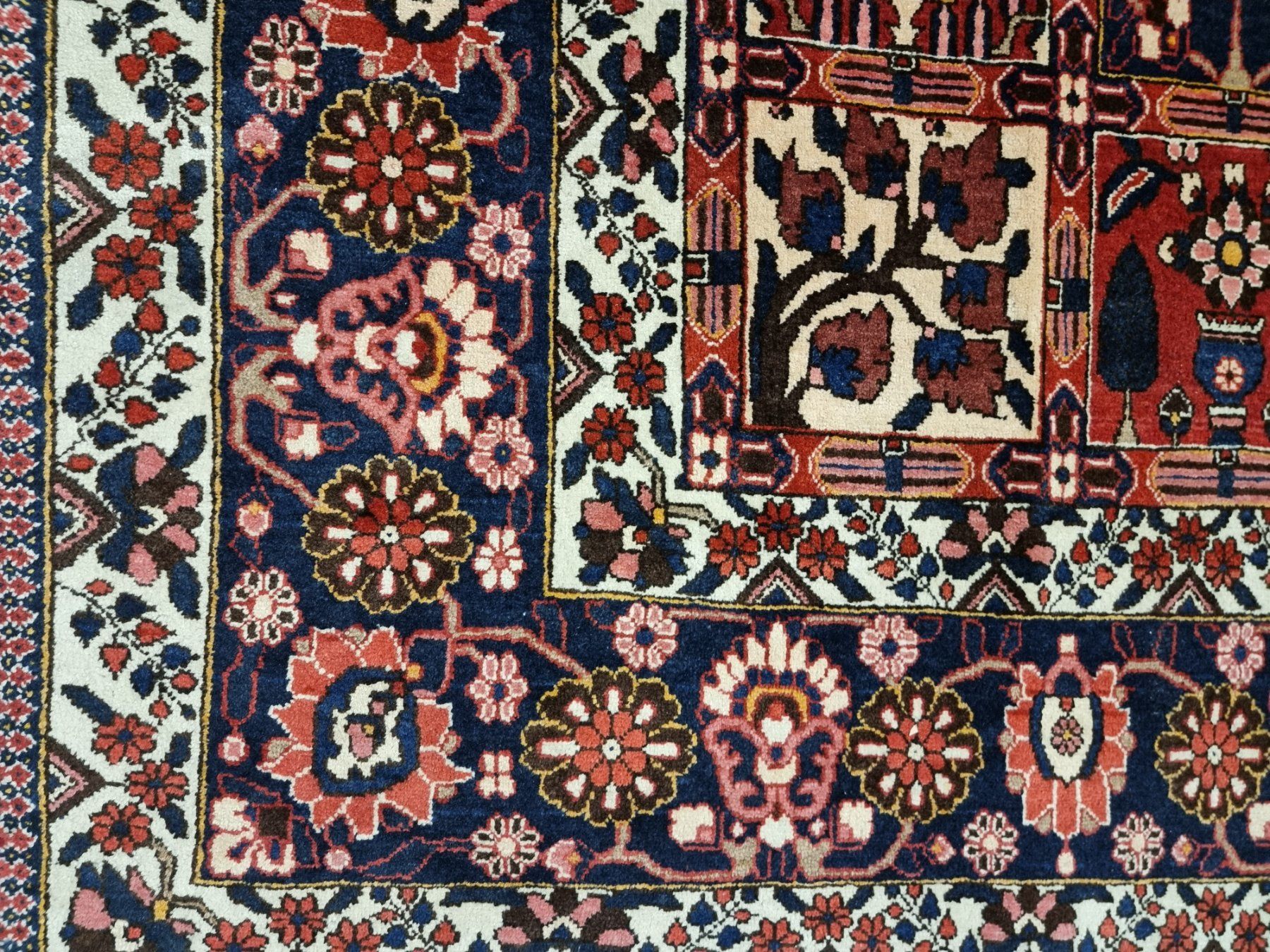 Tappeti: 247x370 Wunderschöner Perser Bachtiyar – Usato da Olten venduto da OrientDeko 3