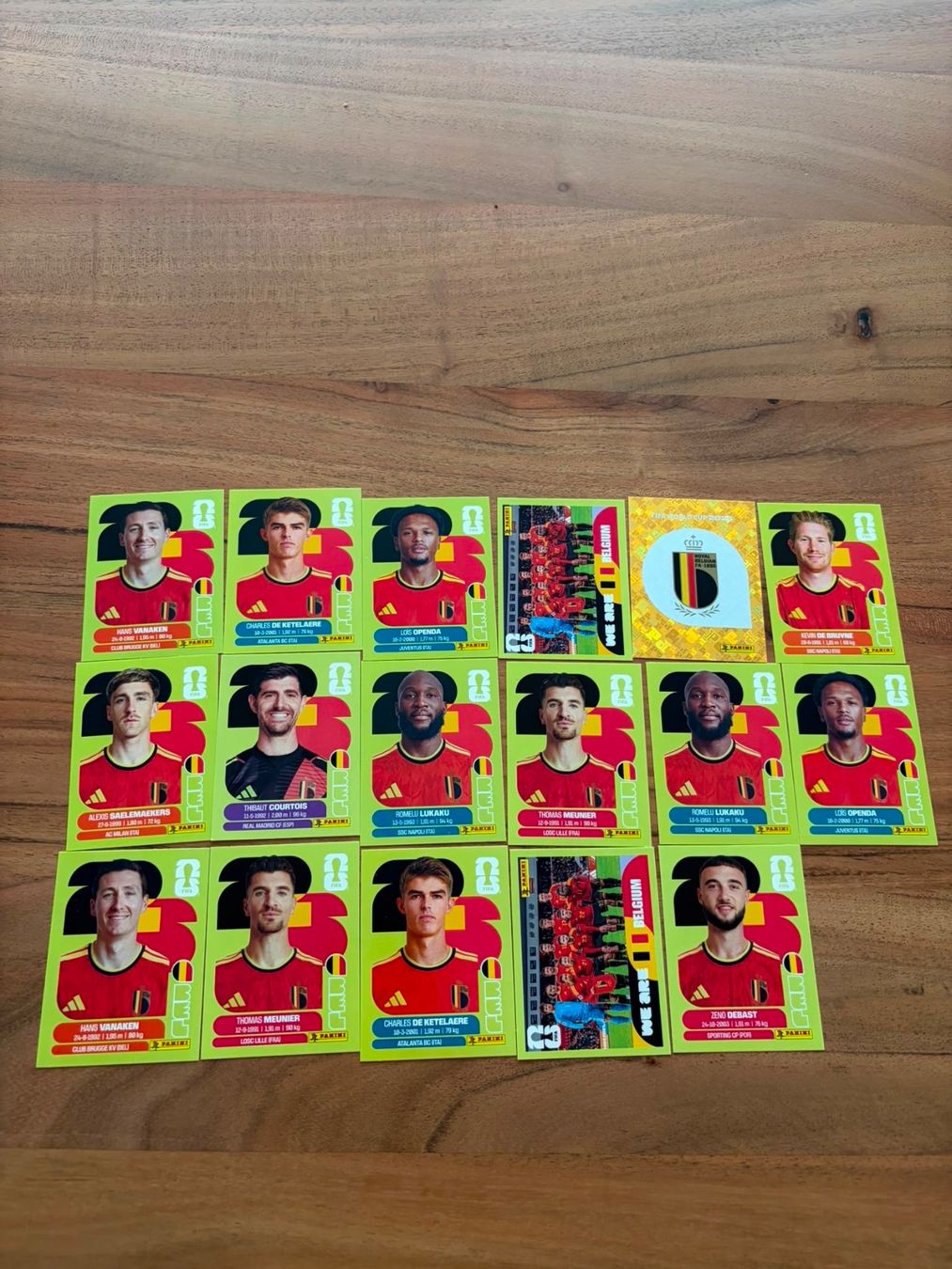 Panini Carte collezionabili: Panini Belgien BEL 2026 – Usato da Solothurn venduto da rah_g92d