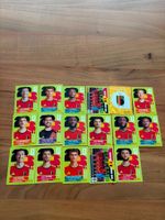 Panini Belgien BEL 2026