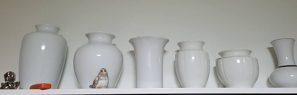 Vasi & Recipienti: Kostbare Blumen-Vasen-Sammlung  12 St – Usato da Kriens venduto da Aschada