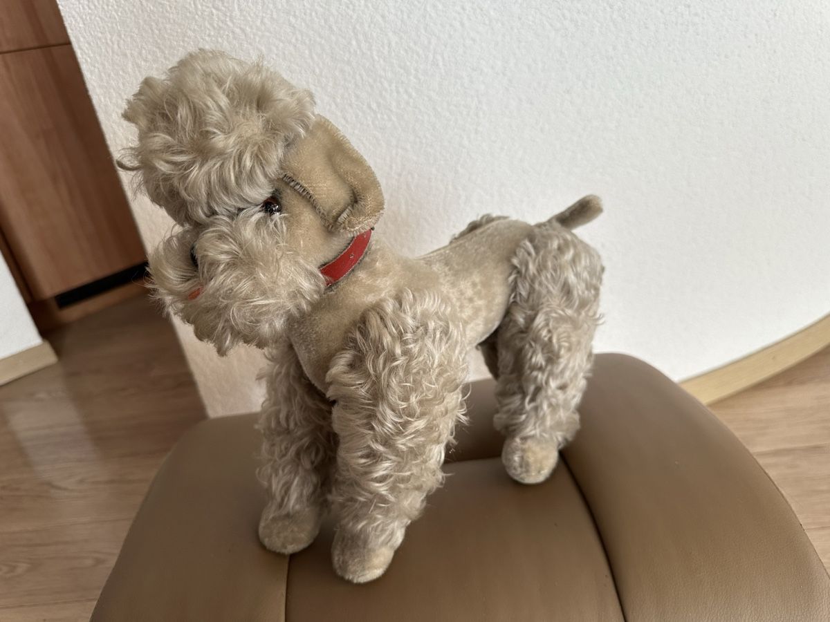 Steiff Giocattoli: Steiff Pudel 50s – Usato da Herbriggen venduto da Sehrazade