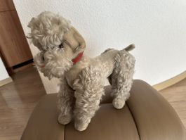 Steiff Pudel 50s