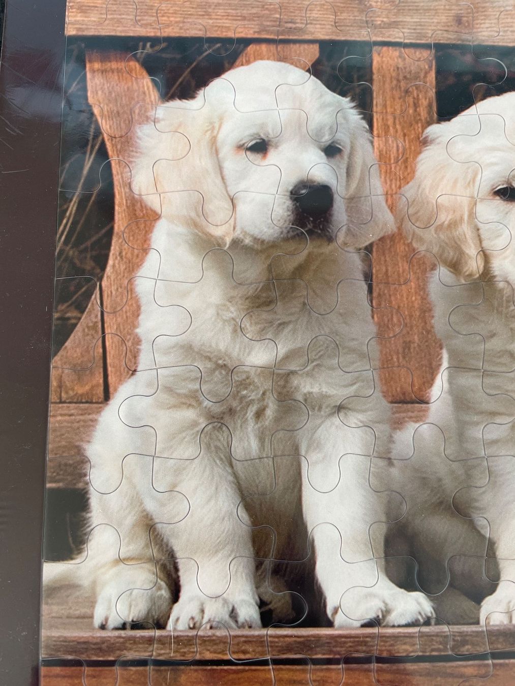 Puzzle: Puzzle Junge Golden Retrievers / Hunde Puzzle – Nuovo e nell'imballaggio originale da Füllinsdorf venduto da bienli 3