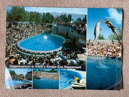 MAXI-Postkarte 29,7x21 cm Delphinarium KNIE's Kinder-Zoo