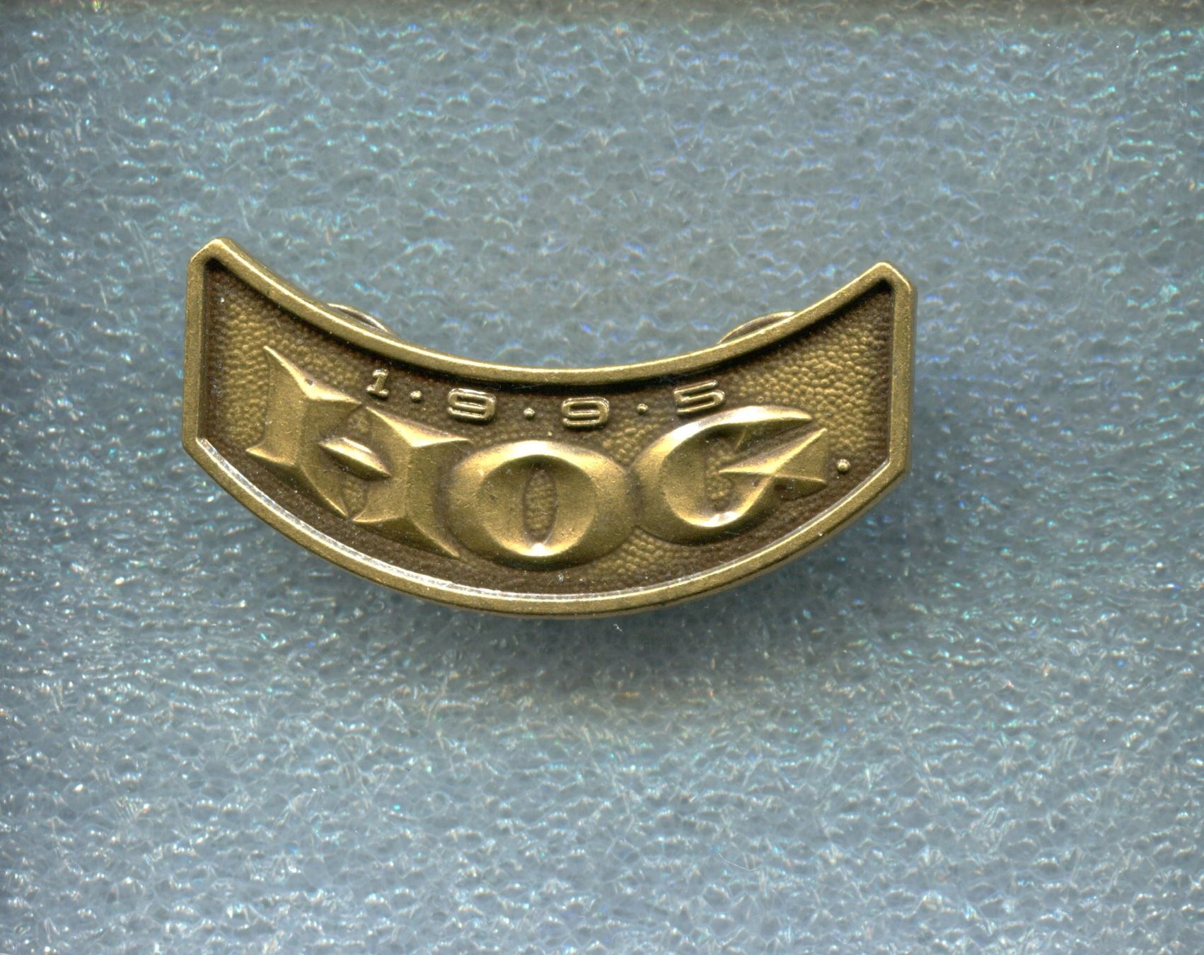 Harley-Davidson Placchette & Badge: HOG  HARLEY OWNERS GROUP  1995 – Usato da Winterthur venduto da Sammleroase