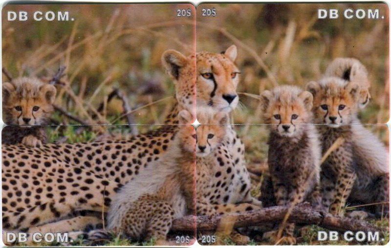 Schede telefoniche: 4 Telefonkarten "Gepard". – Usato da Basel venduto da Butsch5