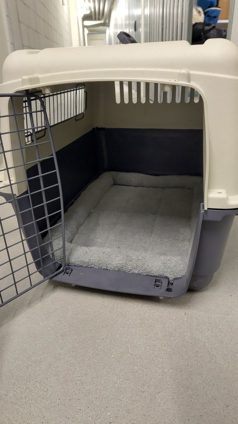 Cucce & Letti: Hundetransportbox – Usato da Mollis venduto da Ckmorpheus 1