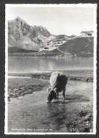 Melchsee-Frutt Hotel Reinhard am See