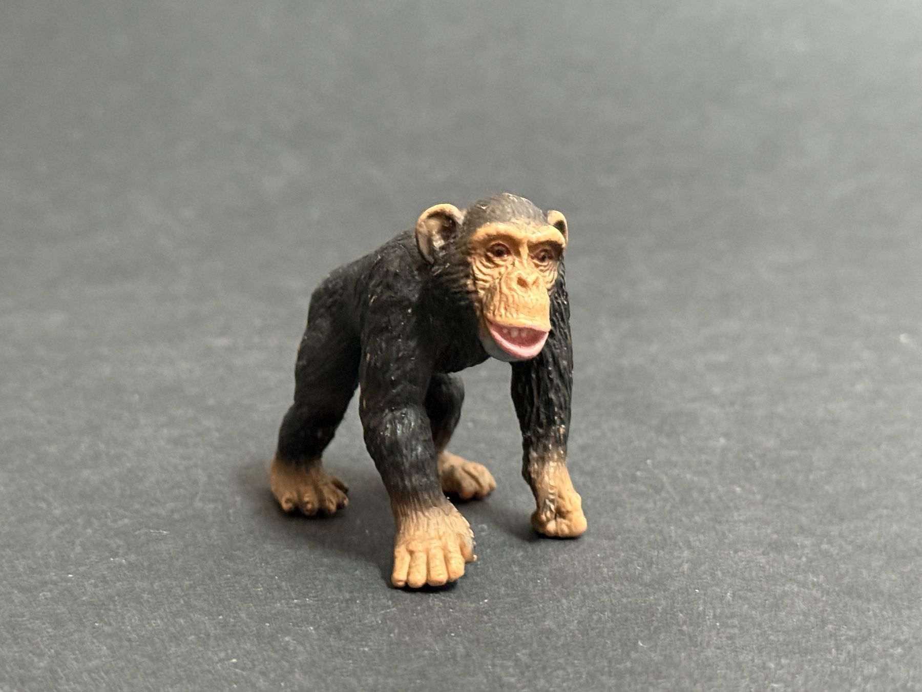 Schleich Statuette: Schleich 14189 Schimpansen Männchen Affe Schimpanse – Usato da Ennetbaden venduto da mapa05