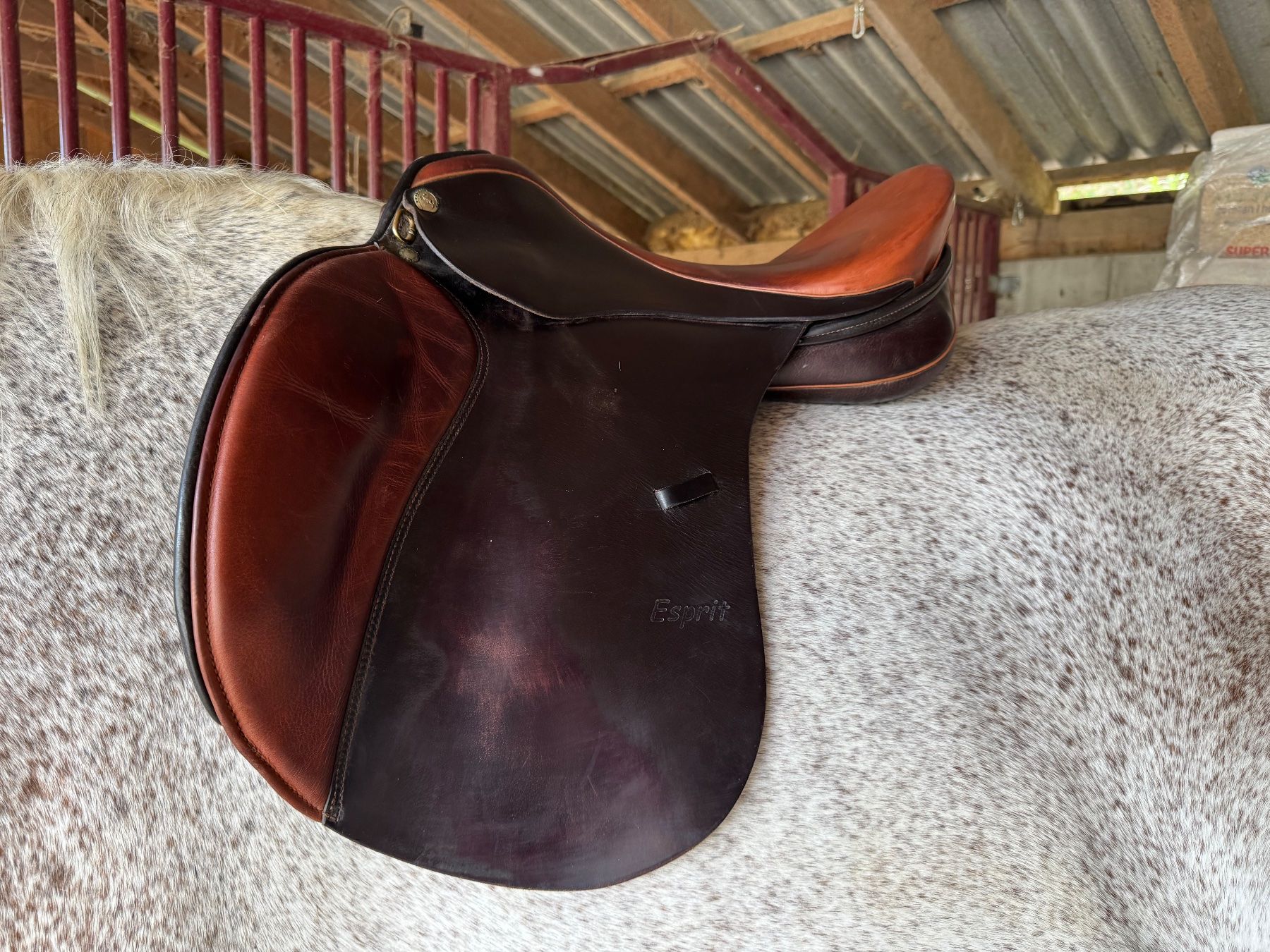 Selles, accessoires: Sommer Sattel Esprit 17.5, Kammer 31,5 – D'occasion à Suberg par BlueSea