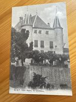 Carte postale ancienne Nyon, le Château, Edition Franco-Suis