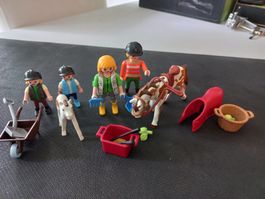 Playmobil Pferde/Reiter