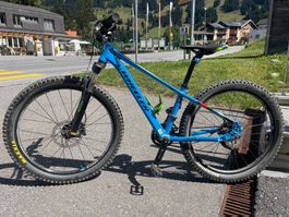 Wheeler Junior 400 Mountain Bike 24 Zoll