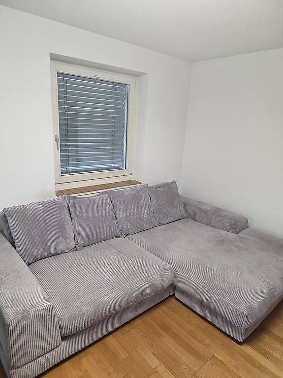 Divani: Sofa – Usato da Wallisellen venduto da fle_ms2k 3