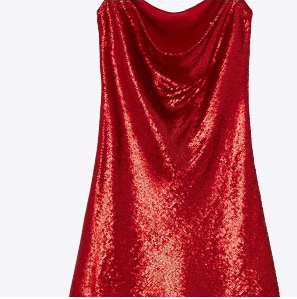 Vestiti: Zara dress – Nuovo e nell'imballaggio originale da Opfikon venduto da ari_7yn2 1