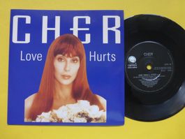 Cher – Love Hurts