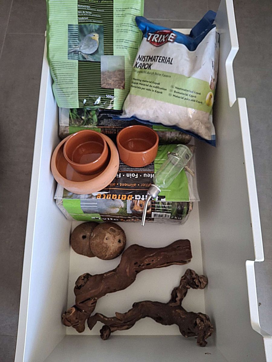 Terrario: Terrarium pour rongeurs  – Usato da Cugy FR venduto da mirtille 3